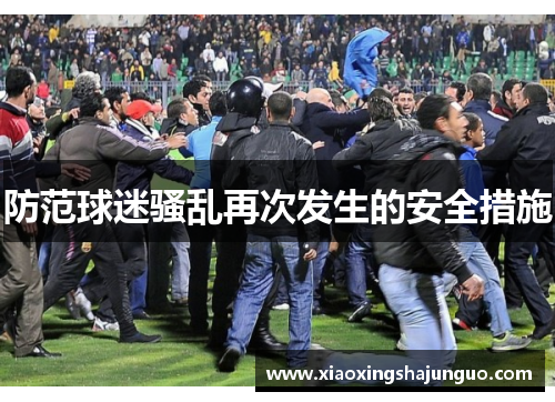 防范球迷骚乱再次发生的安全措施