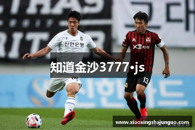 知道金沙3777·js